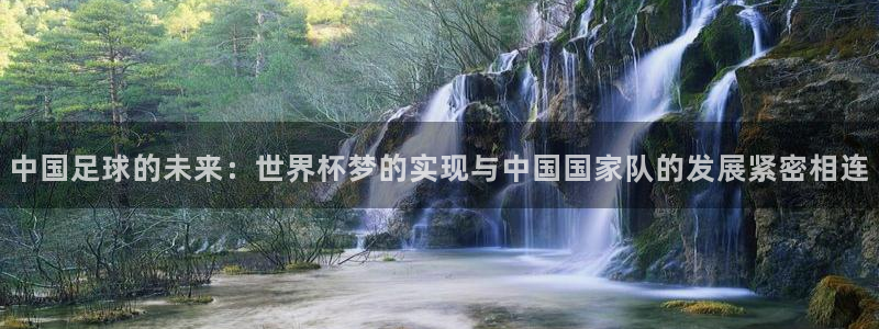 2026 世界杯:中国足球的未来:世界杯梦的实现与中国国家队的发展紧密相连