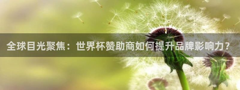 今天所有足球赛程表:全球目光聚焦:世界杯赞助商如何提升品牌影响力?