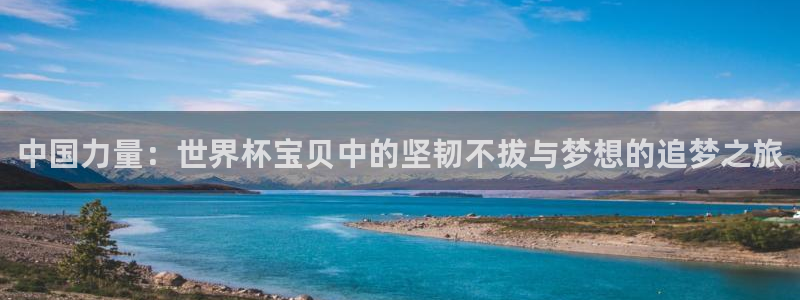 足球世界杯:中国力量:世界杯宝贝中的坚韧不拔与梦想的追梦之旅